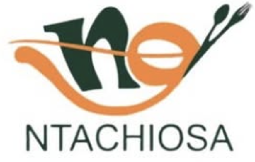 Ntachi-Osa Logo